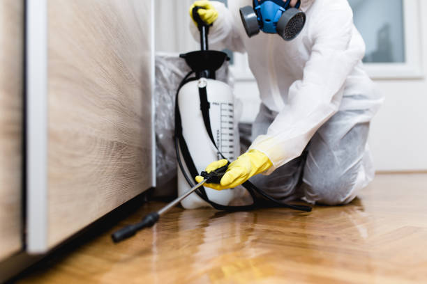 Pest Control Cost in Glenn Heights, TX