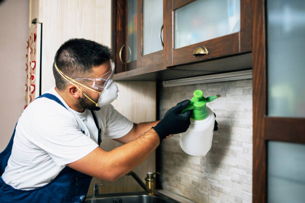 Best Insect Control  in Glenn Heights, TX