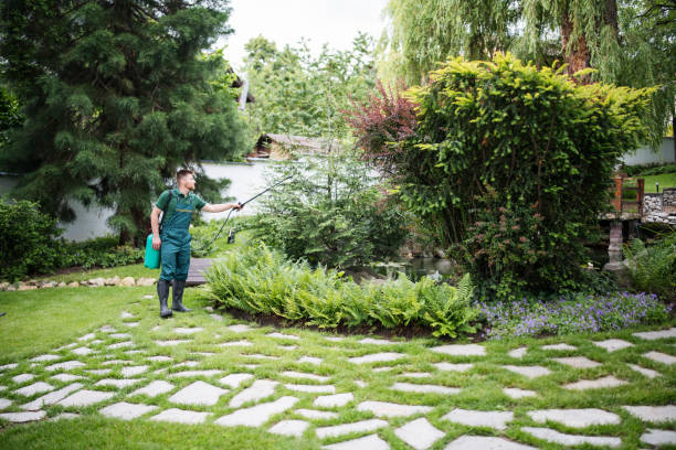 Best Pest Removal Services  in Glenn Heights, TX
