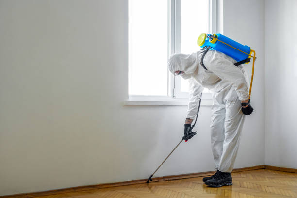 Wildlife Control Services in Glenn Heights, TX