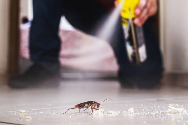 Glenn Heights, TX Pest Control Company