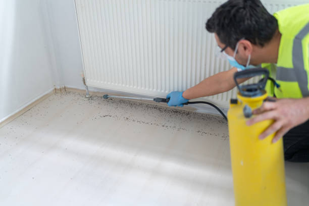 Best Pest Control Near Me in Glenn Heights, TX